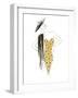 Fashion Sketch III-Patricia Pinto-Framed Art Print