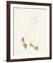 Fashion Wasn't What you Wore (High heels)-Andy Warhol-Framed Giclee Print