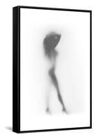 Fashion-Shadow-Framed Stretched Canvas