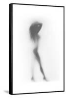 Fashion-Shadow-Framed Stretched Canvas