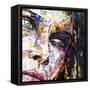 Fashion-James Grey-Framed Stretched Canvas