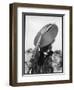 Fashionable 1940s Hat-null-Framed Premium Photographic Print