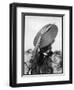 Fashionable 1940s Hat-null-Framed Premium Photographic Print