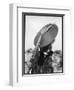 Fashionable 1940s Hat-null-Framed Premium Photographic Print