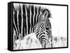 Fashionable black and white-Silvia Dinca-Framed Stretched Canvas