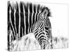 Fashionable black and white-Silvia Dinca-Stretched Canvas