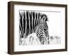 Fashionable black and white-Silvia Dinca-Framed Photographic Print