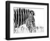 Fashionable black and white-Silvia Dinca-Framed Photographic Print
