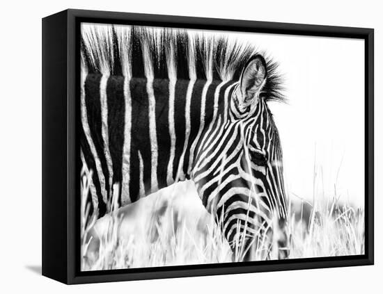 Fashionable black and white-Silvia Dinca-Framed Stretched Canvas