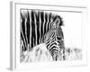 Fashionable black and white-Silvia Dinca-Framed Photographic Print