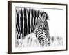 Fashionable black and white-Silvia Dinca-Framed Photographic Print