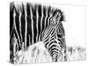 Fashionable black and white-Silvia Dinca-Stretched Canvas