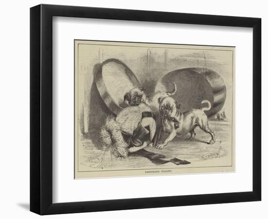 Fashionable Curiosity-null-Framed Premium Giclee Print