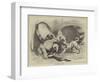 Fashionable Curiosity-null-Framed Premium Giclee Print