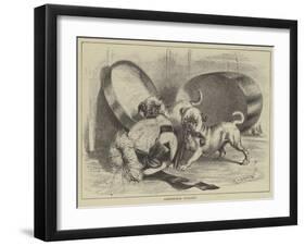 Fashionable Curiosity-null-Framed Giclee Print