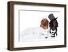 Fashionable Dachshund Dog Wedding-Jagodka-Framed Photographic Print