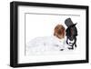 Fashionable Dachshund Dog Wedding-Jagodka-Framed Photographic Print