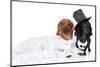 Fashionable Dachshund Dog Wedding-Jagodka-Mounted Photographic Print