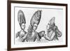 Fashions of 1773-Tim Bobbin-Framed Premium Giclee Print