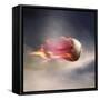 Fast Baseball-null-Framed Stretched Canvas