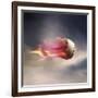 Fast Baseball-null-Framed Photographic Print