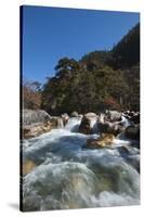 Fast flowing melt water near Thangthanka in Bhutan, Asia-Alex Treadway-Stretched Canvas