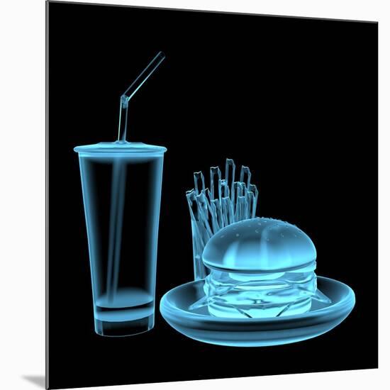 Fast Food Burger-sauliusl-Mounted Art Print