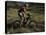 Fast Moving Mountain Biker, Mt. Bike-Michael Brown-Stretched Canvas