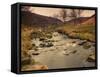 Fast Moving Stream, Near Ladybower Reservoir, Peak District Nat'l Park, Derbyshire, England-Ian Egner-Framed Stretched Canvas