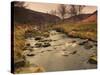Fast Moving Stream, Near Ladybower Reservoir, Peak District Nat'l Park, Derbyshire, England-Ian Egner-Stretched Canvas