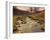 Fast Moving Stream, Near Ladybower Reservoir, Peak District Nat'l Park, Derbyshire, England-Ian Egner-Framed Photographic Print