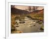 Fast Moving Stream, Near Ladybower Reservoir, Peak District Nat'l Park, Derbyshire, England-Ian Egner-Framed Photographic Print