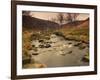 Fast Moving Stream, Near Ladybower Reservoir, Peak District Nat'l Park, Derbyshire, England-Ian Egner-Framed Photographic Print