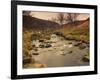 Fast Moving Stream, Near Ladybower Reservoir, Peak District Nat'l Park, Derbyshire, England-Ian Egner-Framed Photographic Print