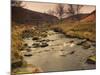 Fast Moving Stream, Near Ladybower Reservoir, Peak District Nat'l Park, Derbyshire, England-Ian Egner-Mounted Photographic Print
