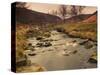 Fast Moving Stream, Near Ladybower Reservoir, Peak District Nat'l Park, Derbyshire, England-Ian Egner-Stretched Canvas