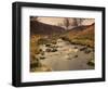 Fast Moving Stream, Near Ladybower Reservoir, Peak District Nat'l Park, Derbyshire, England-Ian Egner-Framed Photographic Print