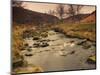 Fast Moving Stream, Near Ladybower Reservoir, Peak District Nat'l Park, Derbyshire, England-Ian Egner-Mounted Photographic Print