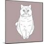 Fat Angry Cat-Anna Nyberg-Mounted Art Print