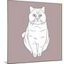 Fat Angry Cat-Anna Nyberg-Mounted Giclee Print