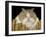 Fat Cat-J Hovenstine Studios-Framed Giclee Print