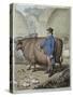 Fat Cattle, Published by Hannah Humphrey in 1802-James Gillray-Stretched Canvas