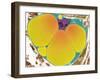 Fat Cell, TEM-Steve Gschmeissner-Framed Photographic Print