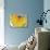 Fat Cell, TEM-Steve Gschmeissner-Photographic Print displayed on a wall