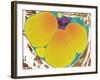 Fat Cell, TEM-Steve Gschmeissner-Framed Photographic Print