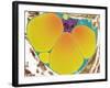 Fat Cell, TEM-Steve Gschmeissner-Framed Photographic Print