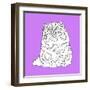 Fat Fluffy Cat-Anna Nyberg-Framed Art Print