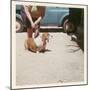 Fat Lady with Fat Basset Hound-null-Mounted Art Print
