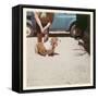 Fat Lady with Fat Basset Hound-null-Framed Stretched Canvas