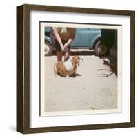 Fat Lady with Fat Basset Hound-null-Framed Art Print